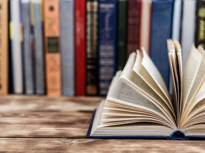 Premiera 10. części serii o Byciu herbu Kasztan w Tuchomiu