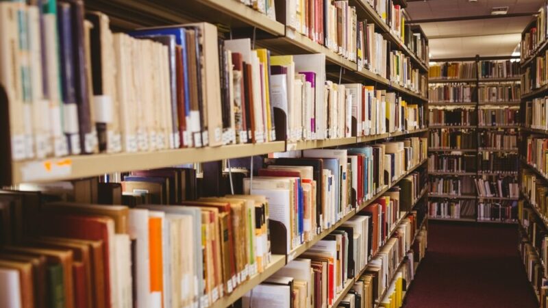 Spotkanie z poetką Aldoną Magdaleną Peplińską w Dębnicy Kaszubskiej