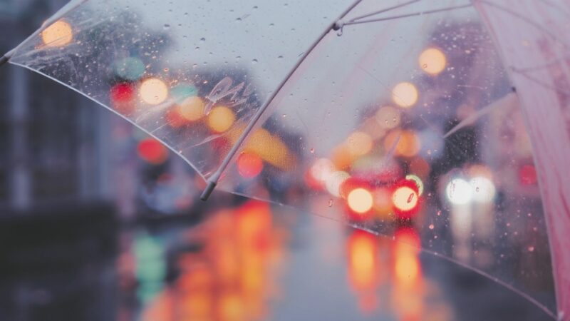 Gęsta mgła w powiecie bytowskim!