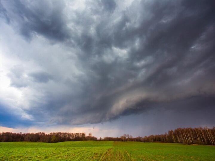 Przymrozki w Bytowie – Uważaj na zimne noce!