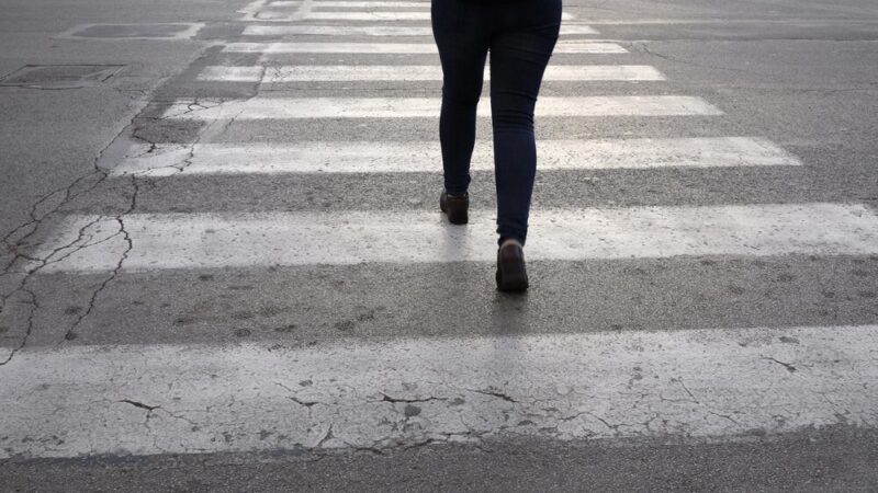 Jak bezpiecznie reagować na potrącenie dzikiego zwierzęcia na drodze?